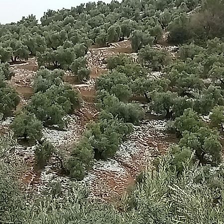 El Almendro De La Tia Teresa Villa Prados de Armijo Екстериор снимка